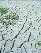 La OMT inicia su asamblea centrada en los efectos del cambio climático en el turismo