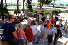 El turismo es "vulnerable", pero se recupera rápidamente, según la OMT