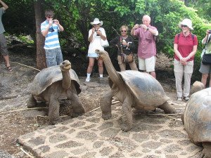 Ahora que no hay turistas, medirán su impacto en las islas Galápagos