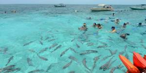 Belice, un ejemplo mundial de turismo sostenible