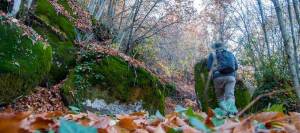 Lo último en senderismo: rutas, naturaleza y hongos