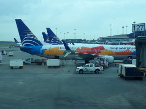 Algunas aerolíneas no sobrevivirán más de 3 meses sin operar