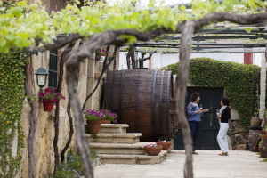 El enoturismo gana seguidores: más de tres millones en 2019