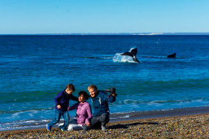 Puerto Madryn ya recibió a las ballenas y espera por turistas de cercanías