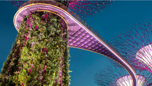 WTTC insta a los gobiernos a incentivar y reactivar la inversión turística