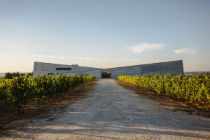 Bodegas portuguesas de autor
