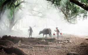 Pueblos tematizados para Instagram. ¿Tendencia que llegará a España?