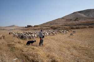 Andalucía, un destino responsable para disfrutar de la naturaleza