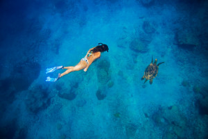 Caribe de Costa Rica: un viaje en verde y azul