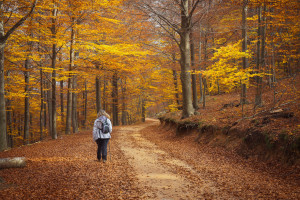 Los 22 nuevos destinos de naturaleza para los viajes del Imserso