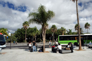 La capacidad aérea a Canarias crece un 21% este invierno respecto a 2019