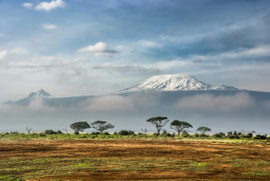 Air Europa fortalece las rutas a África con Kenya Airways