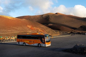 Alsa se hace fuerte en Canarias comprando la mayor flota de las islas