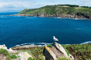Multa a tres empresas de Galicia por condicionar reservas en un camping