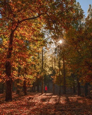 Gran Canaria, otoño inolvidable en un destino soñado