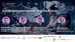 Efectos de la tendencia a la integración en agencias de viajes