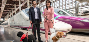 Renfe amplía las rutas en las que se puede viajar con perros grandes