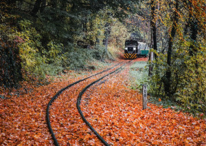 Dónde empieza y acaba el recorrido del tren más largo del mundo