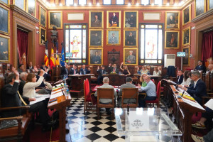 Cómo afecta al turismo la nueva ordenanza de convivencia cívica de Palma