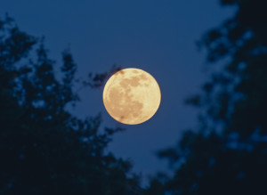 Cuándo se podrá ver la Luna de Ciervo y dónde verla en España