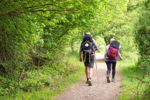 El Camino de Santiago, afectado por los incendios en Castilla y León