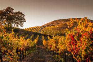 Los 11 rincones de España que te arrepentirás si no los visitas este otoño