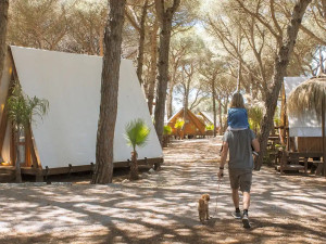 El camping se impone como la opción más pet-friendly en España