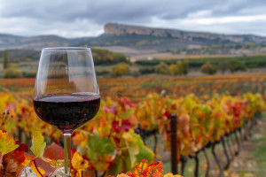 España, en el top 3 de destinos europeos para amantes del enoturismo