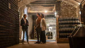 El enoturismo registra cifras históricas: más de 112 M € en ingresos y tres millones de visitantes