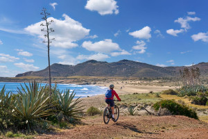Andalucía es la comunidad que más crece en llegadas de turistas en 2025 y Cataluña, la que menos