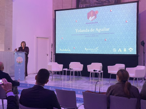 Colaboración, consenso y rigor: las claves de Andalucía para desarrollar la conectividad aérea 